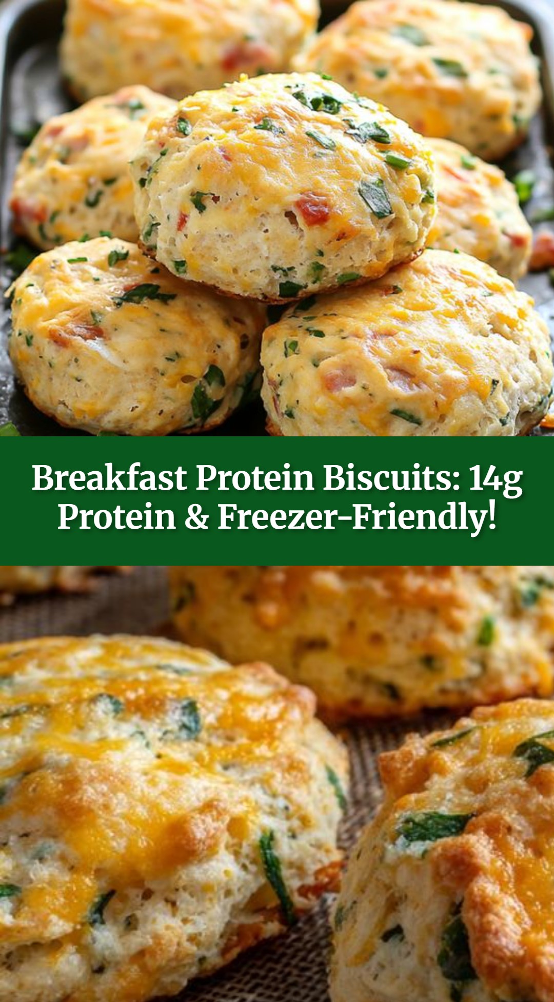 Breakfast Protein Biscuits: 14g Protein & Freezer-Friendly!