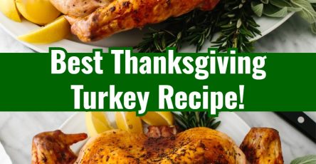 Best Perfectly Easy Thanksgiving Turkey Recipe