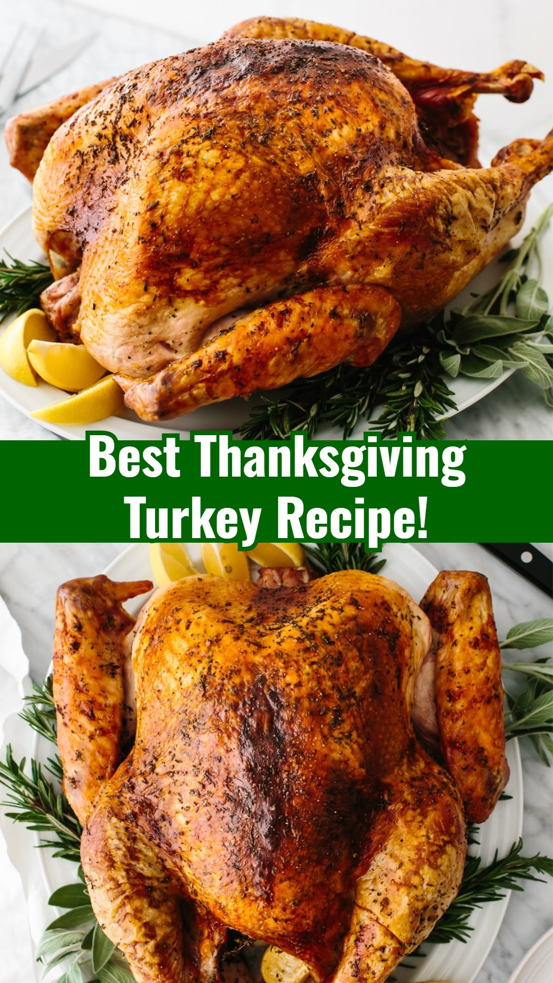 Best Perfectly Easy Thanksgiving Turkey Recipe