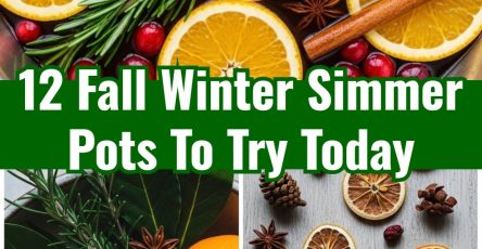 Easy Seasonal Simmer Pot Recipes Fall Winter New Years