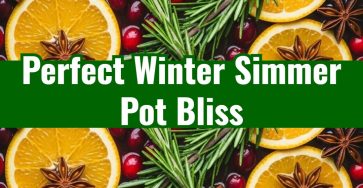 The Perfect Winter Simmer Pot with Cranberry Orange and Spice