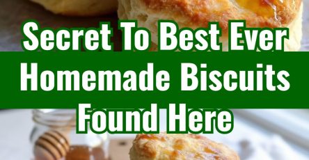 Best Ever Homemade Biscuits Easy Cast Iron Pan Recipe